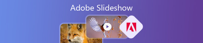 adobe creative cloud express slideshow