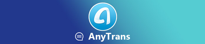 cost of anytrans