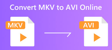 MKV to AVI