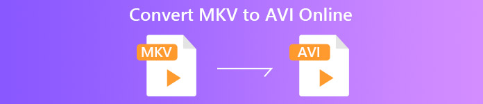 MKV to AVI