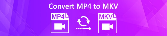 Convert MP4 to MKV