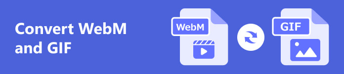 Convert WebM and GIF