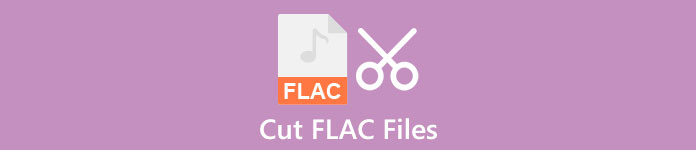 剪切 Flac 文件