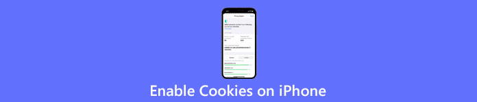 在 iPhone 上启用 Cookie