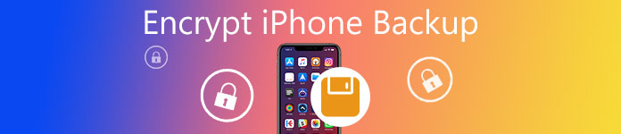 Verschlusseln Sie Die Iphone Sicherung Auf Dem Computer