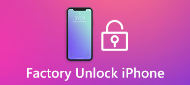 Factory Unlock iPhone