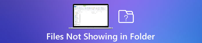 Files Not Showing in Folder