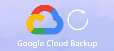Google Cloud Backup