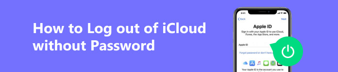 How to Log out of iCloud without Password