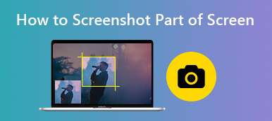 How to Screenshot Part of Screen