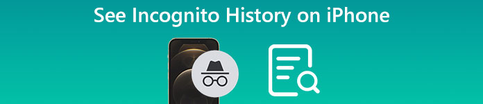 how-to-go-incognito-mode-and-see-incognito-history-on-iphone