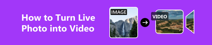 How to Turn Live Photo into Video