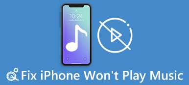 iPhone Won't Play Music