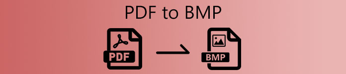 PDF to BMP 