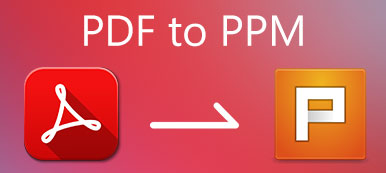 PDF to PPM