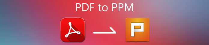 PDF to PPM