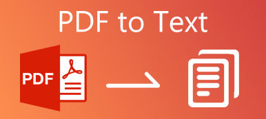 PDF to Text
