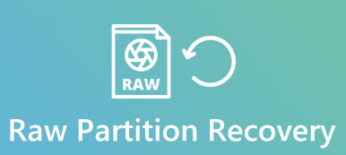 Raw Partition Recovery