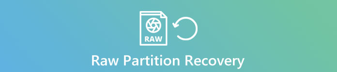 Raw Partition Recovery