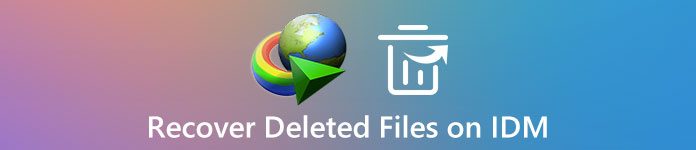 Recover Deleted Files on IDM