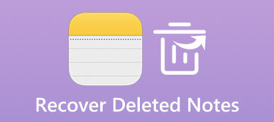 Recover Deleted Notes