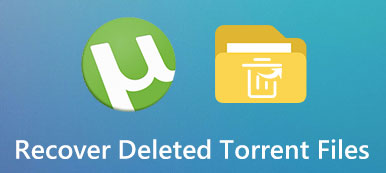 Recover Deleted Torrent Files