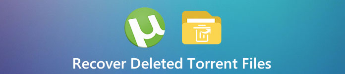 any photo recovery torrent