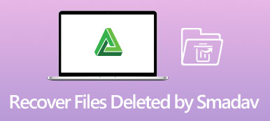 Recover Files Deleted by Smadav