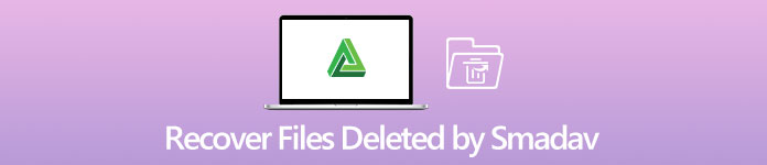 Recover Files Deleted by Smadav