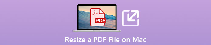 Pdf adjuster