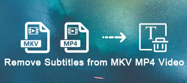 Remove Hardcoded Subtitles from MKV MP4 Videos