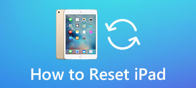 hard reset ipad mini without password