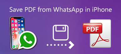 Save PDF from WhatsApp on iPhone