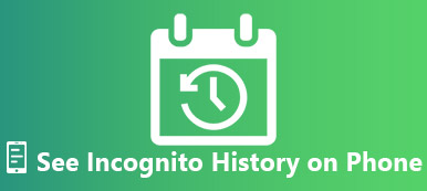 See Incognito History on iPhone