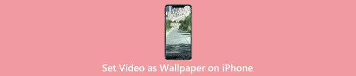 在 iPhone 上将视频设置为墙纸