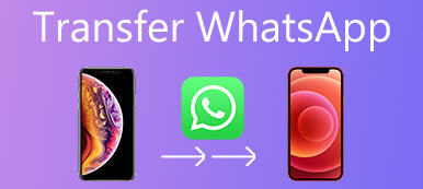 Transfer Whatsapp to New iPhone
