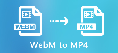 mp4 to webm converter for mac