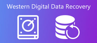 Recover Data from Western Digital Hard Drive