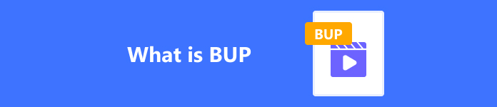 Discovering BUP: What and How to Recover Such File