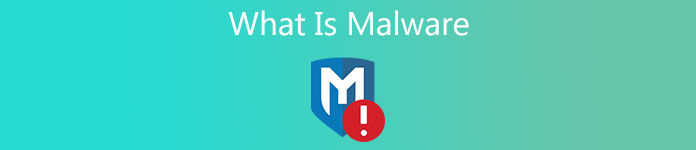 What is Malware