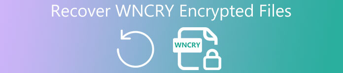 Wncry Recovery