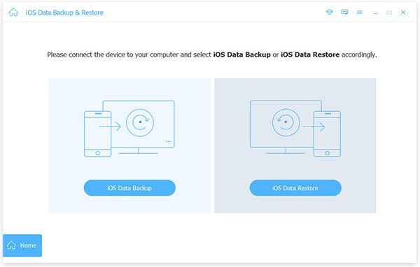 iOS Data Backup and Restore Interface