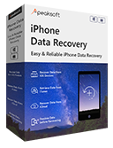 iPhone Data Recovery 