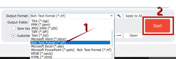 Output Format