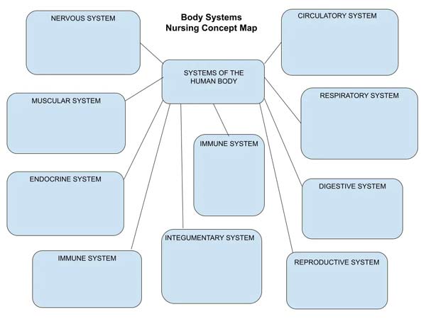 Body System