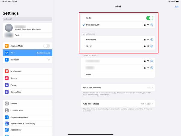 检查验证 iPad Wifi 连接