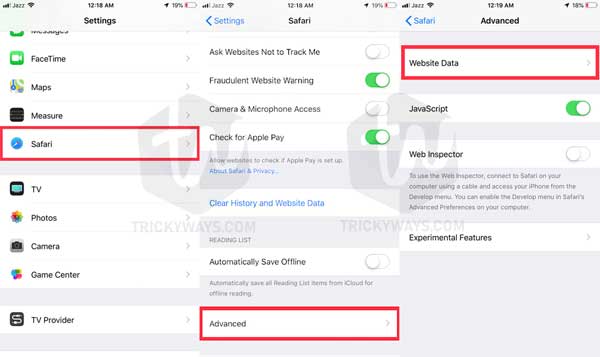 Borrar datos específicos del sitio web iPhone o iPad