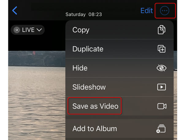 Convert Live Photo To Video