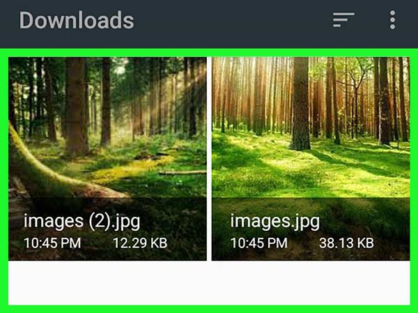 Delete Downloads on Android