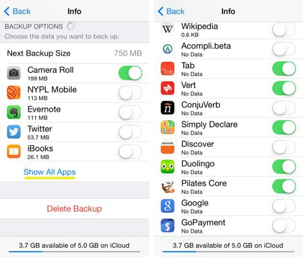 Delete iCloud Backups